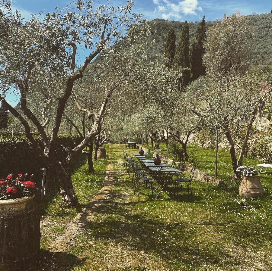 Sotto Il Cielo Di Toscana Appartamenti In Tenuta Only Adults No Pet Camaiore Kültér fotó