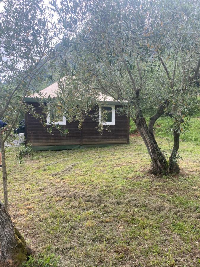 Sotto Il Cielo Di Toscana Appartamenti In Tenuta Only Adults No Pet Camaiore Kültér fotó