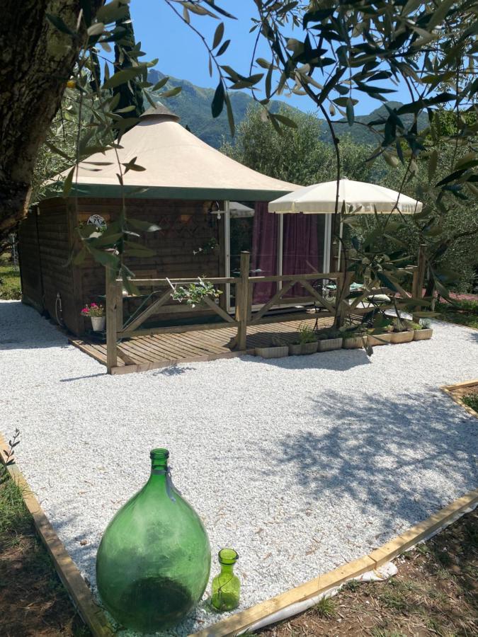 Sotto Il Cielo Di Toscana Appartamenti In Tenuta Only Adults No Pet Camaiore Kültér fotó