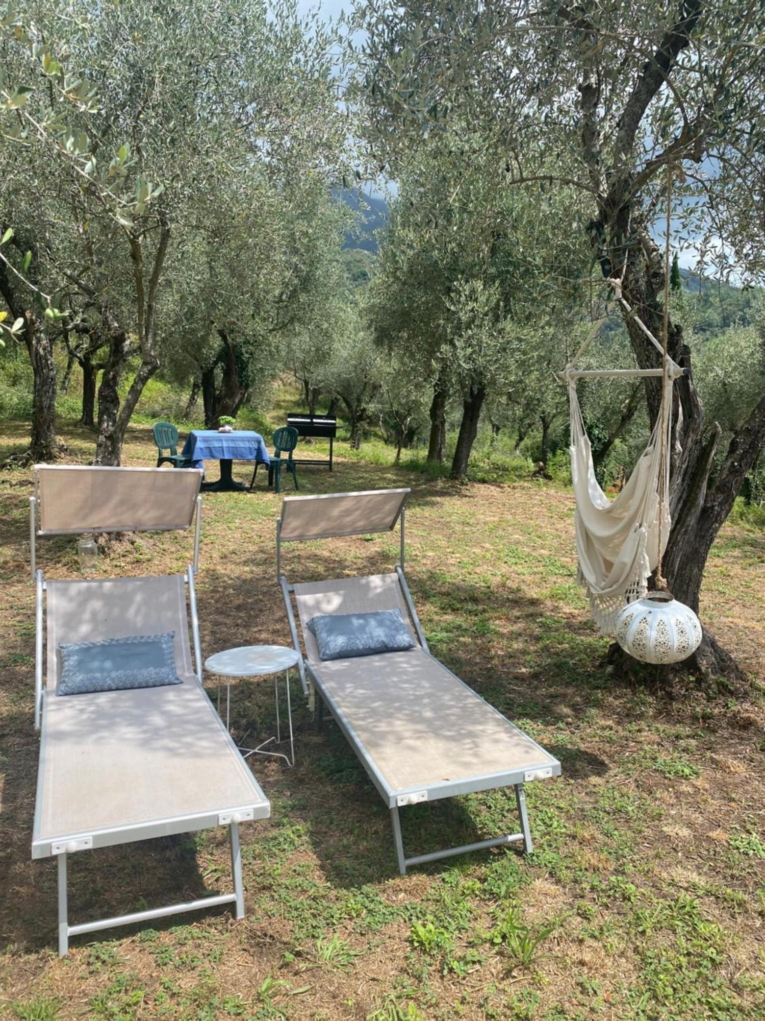 Sotto Il Cielo Di Toscana Appartamenti In Tenuta Only Adults No Pet Camaiore Kültér fotó