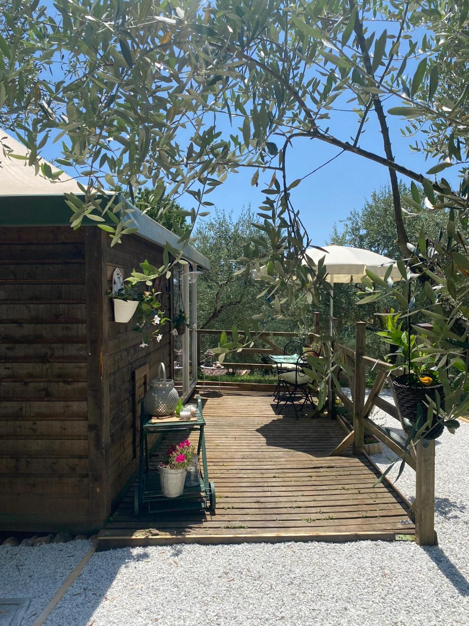 Sotto Il Cielo Di Toscana Appartamenti In Tenuta Only Adults No Pet Camaiore Kültér fotó