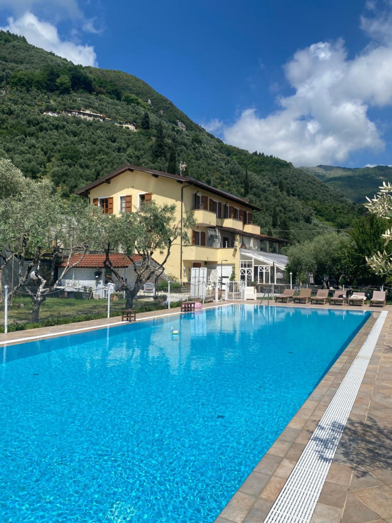 Sotto Il Cielo Di Toscana Appartamenti In Tenuta Only Adults No Pet Camaiore Kültér fotó